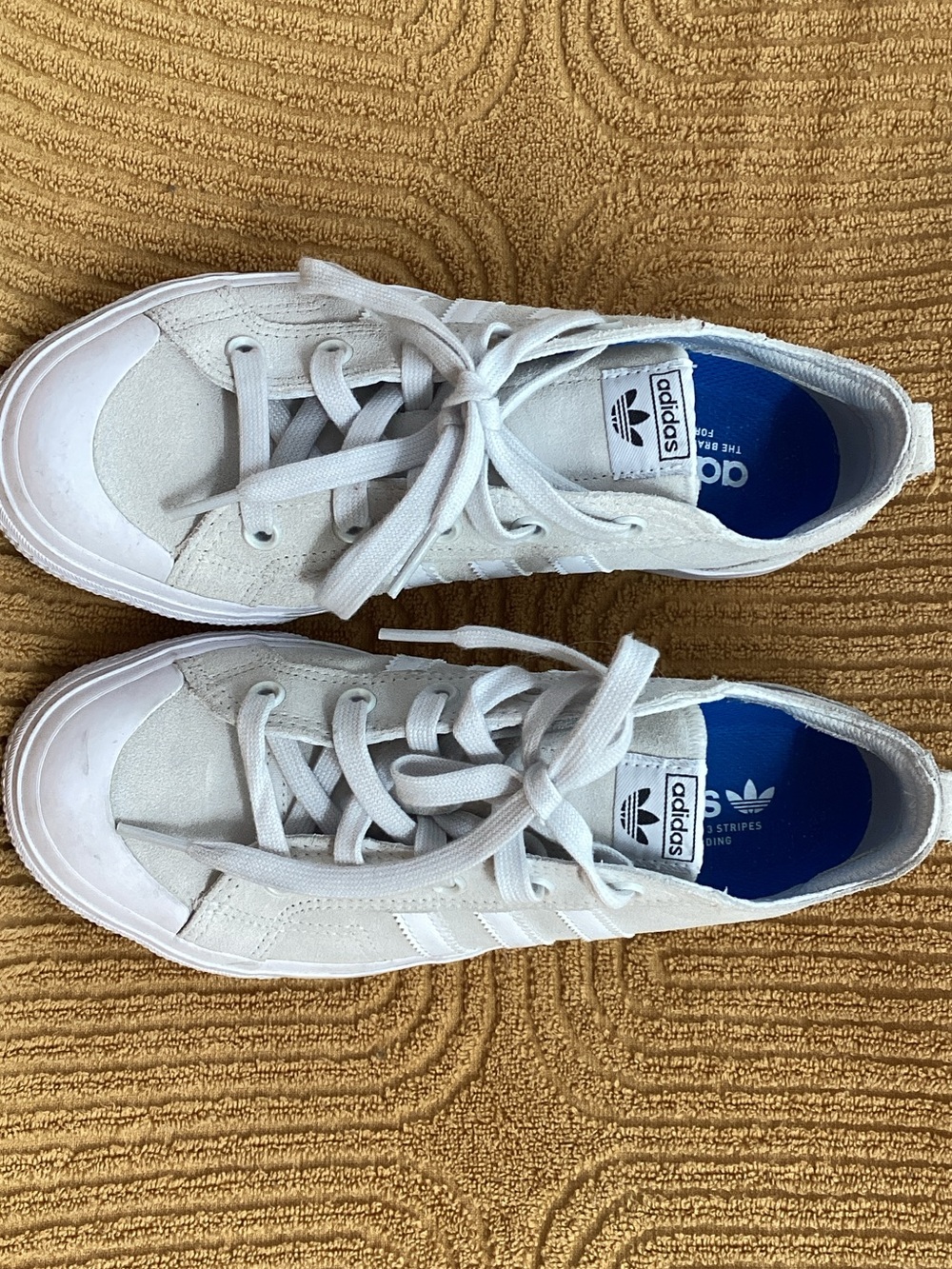 adidas White Low-Top Canvas Sneakers with Blue Insole